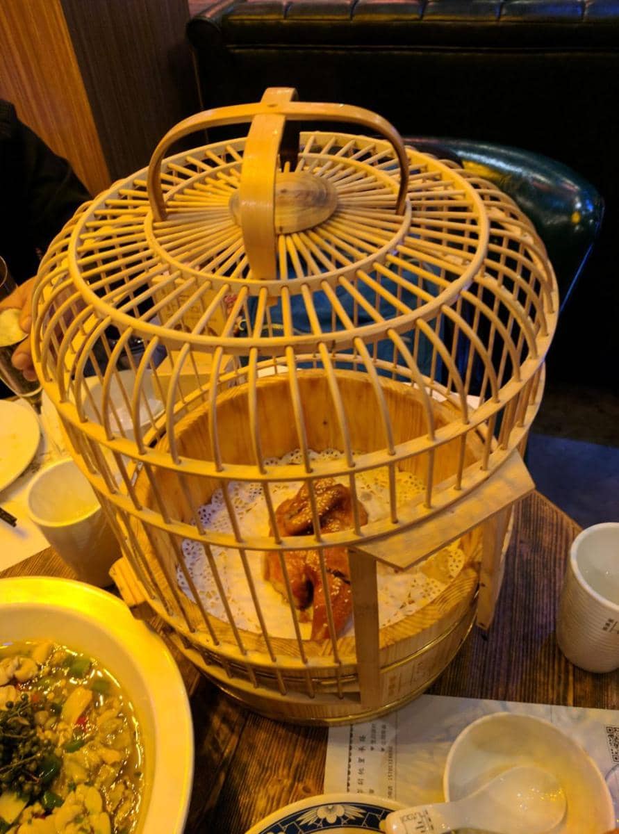potret makanan disajikan dengan kandang burung (reddit.com/r/WeWantPlates)