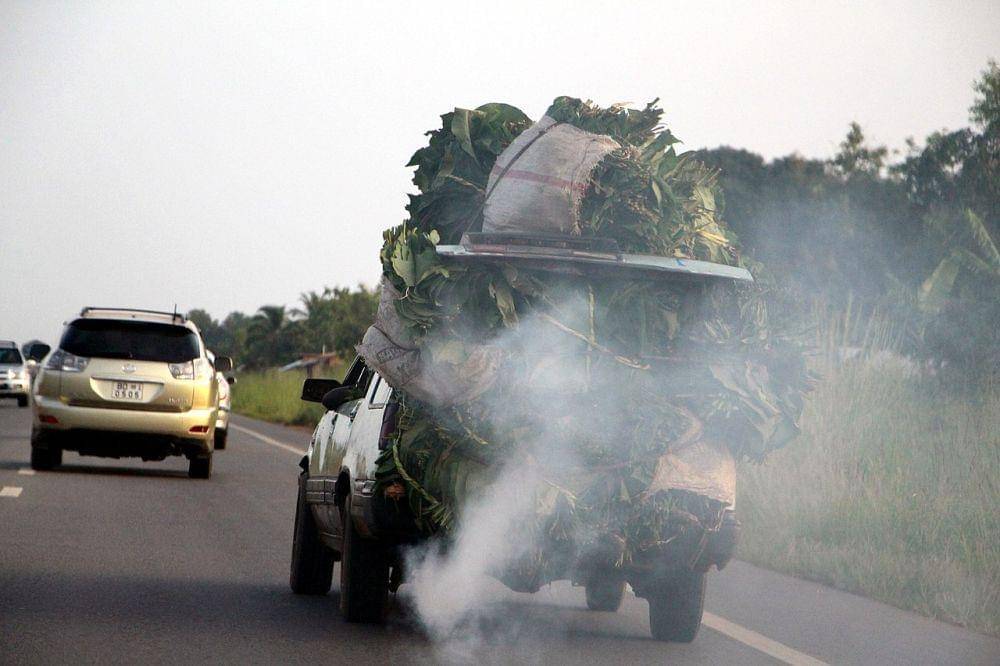ilustrasi asap kendaraan menyebabkan polusi udara (wikimedia.org/DEGAN Gabin)