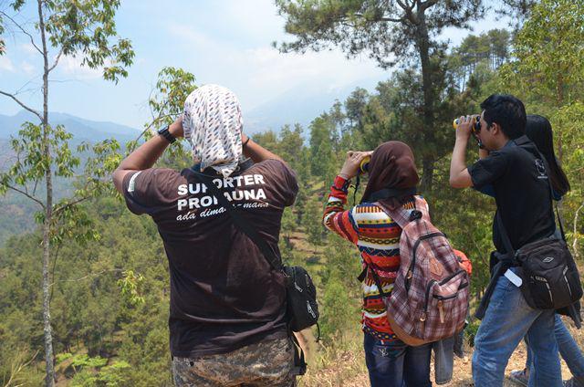 Profauna Indonesia memantau Elang Jawa di Kota Batu. (Dok. Profauna Indonesia)