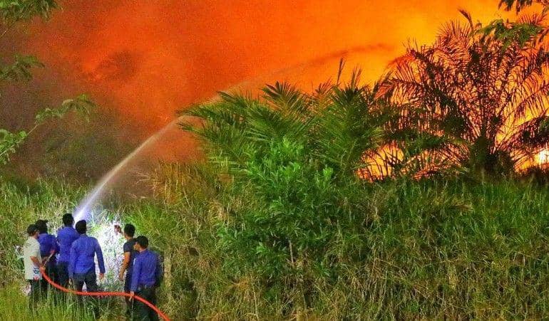 (Petugas gabungan saat berupa memadamkan api di area tol Palindra) IDN Times/istimewa