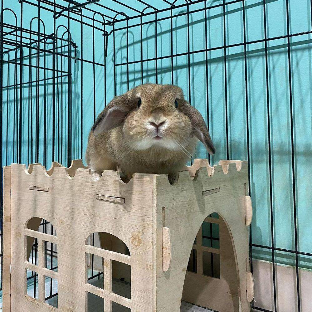 fasilitas di The Buntel (instagram.com/thebuntel)