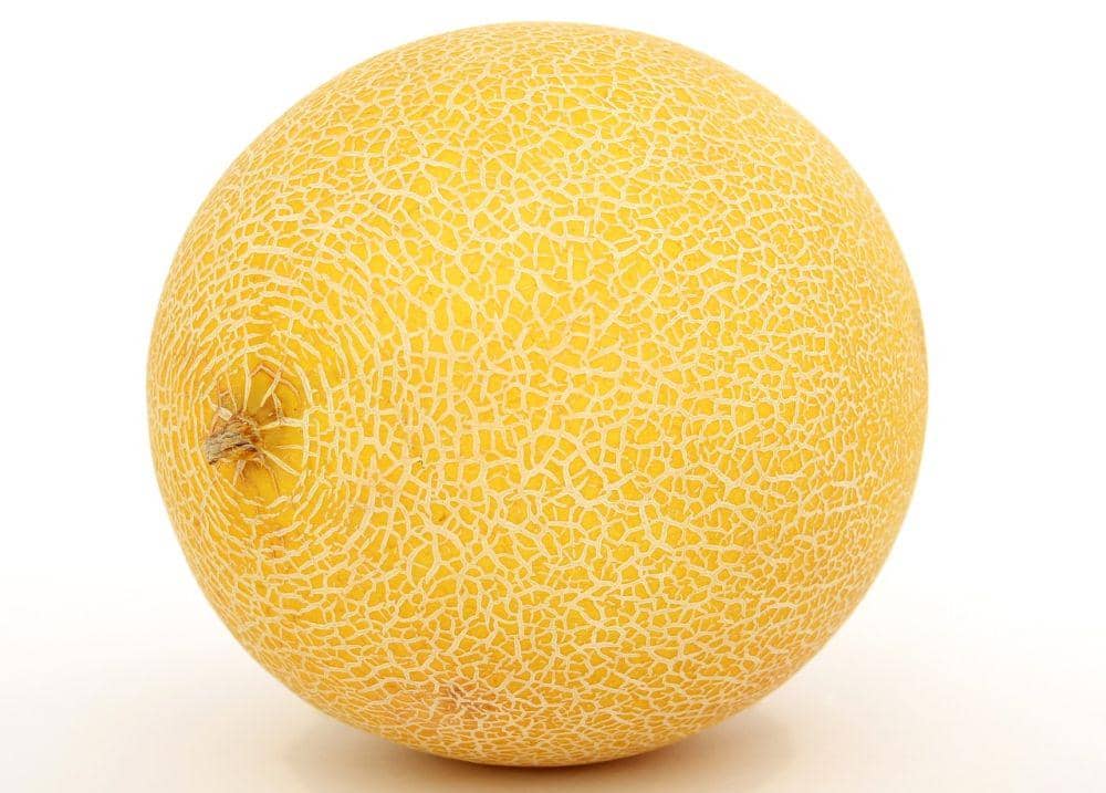 ilustrasi buah melon (pixabay.com/Shutterbug75)