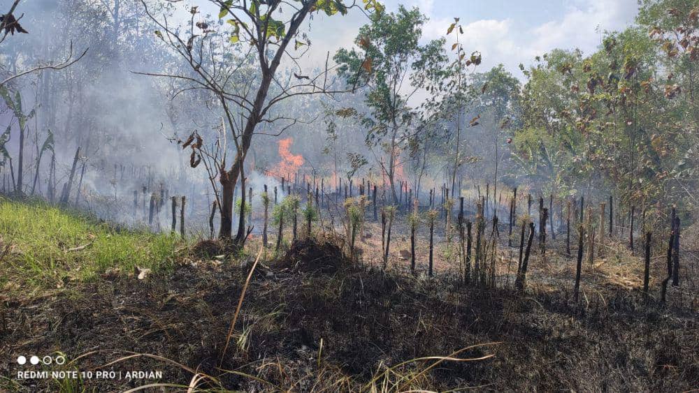 Kebakaran lahan di Selopamioro Bantul.(Dok.Polres Bantul)