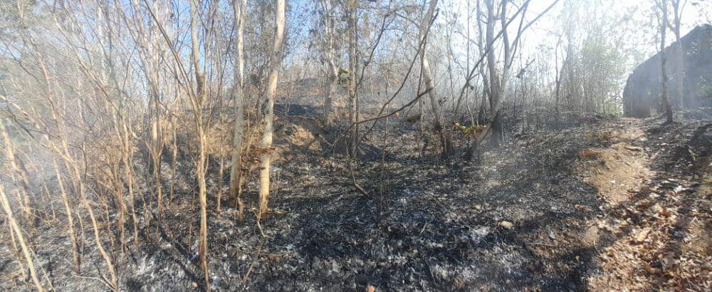 Kebakaran lahan di Selopamioro Bantul.(Dok.Polres Bantul)
