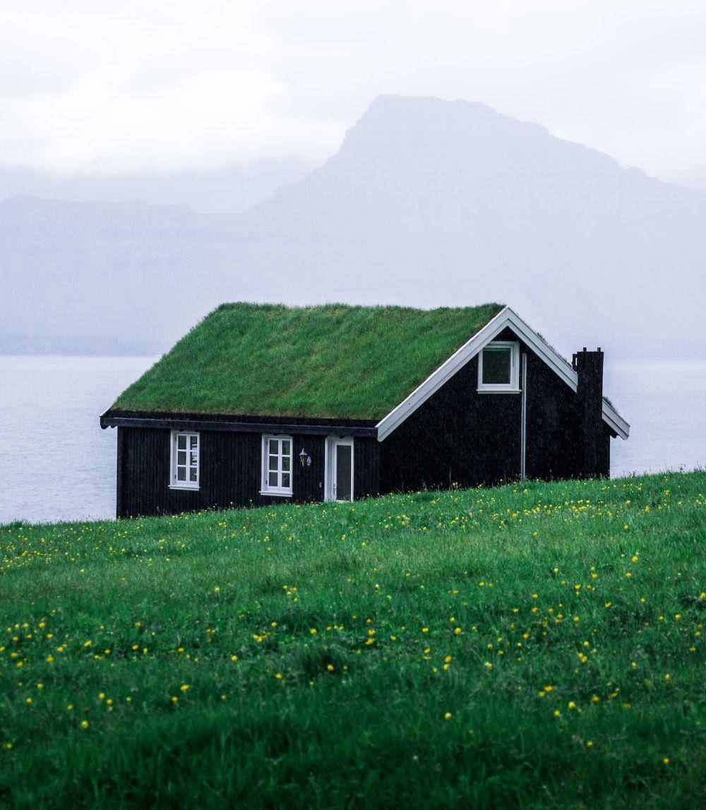 Ilustrasi rumah (pexels.com/Tomáš Malík)