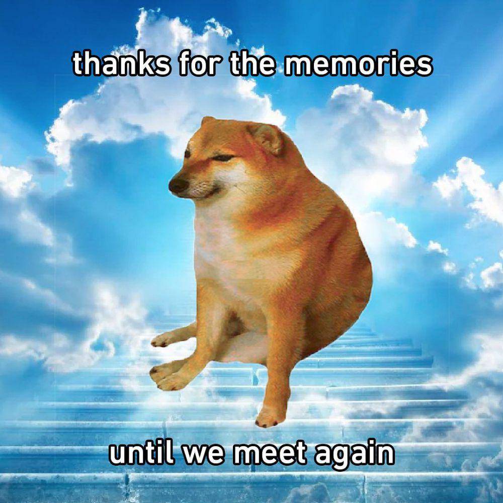 Cheems si anjing meme (Instagram.com/9gag)