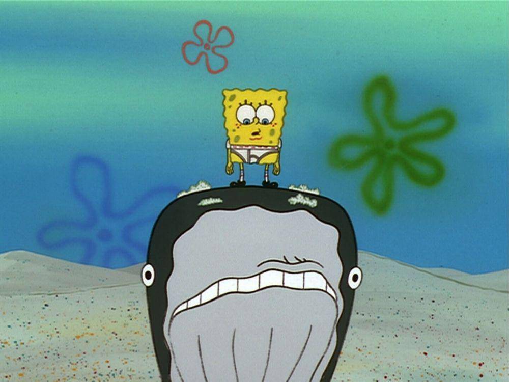 Loser 3 (dok. Nickelodeon/SpongeBob SquarePants)