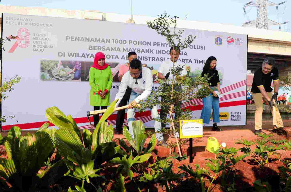 Perbaiki Kualitas Udara, Pemprov DKI Tanam 2.500 Pohon Ketapang