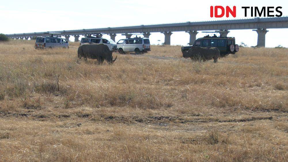 Potret Taman Nasional Nairobi, Kenya. (IDN Times/Tata Firza)