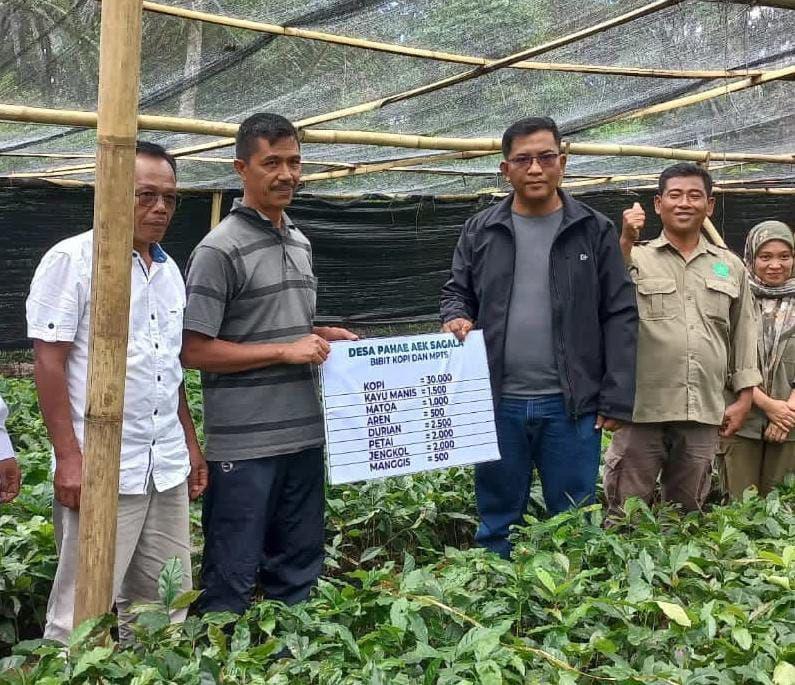 Wabup Tapsel Berharap Pahae Aek Sagala Jadi Penghasil Kopi Terbesar