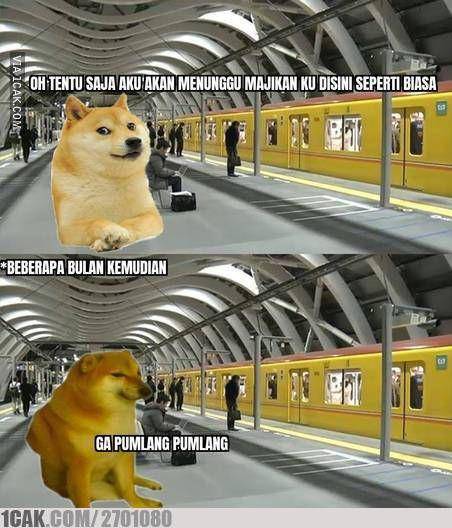 meme Cheems terlucu (1cak.com)