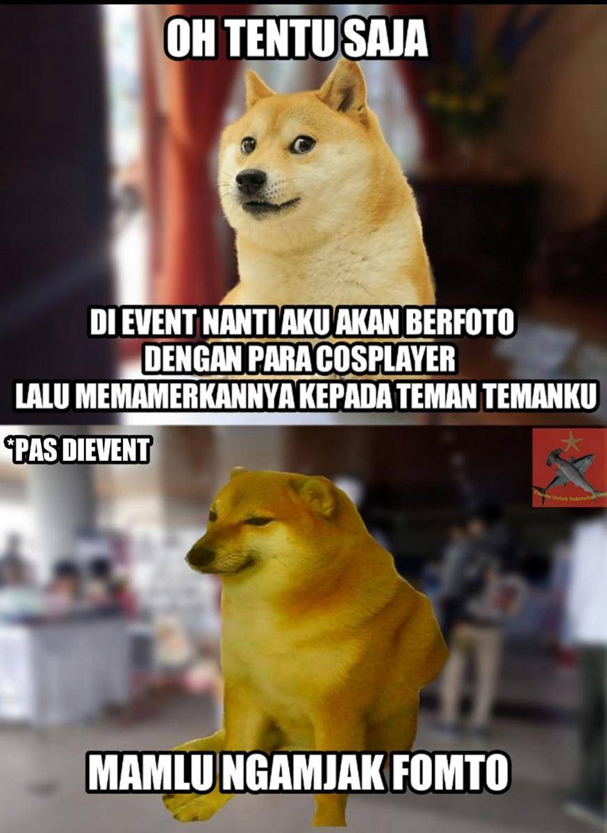 meme Cheems terlucu (1cak.com)