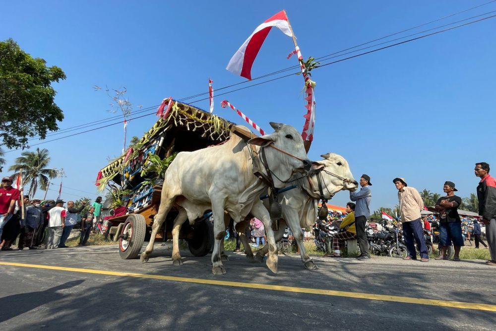 Festival Gerobak Sapi, Upaya Lestarikan Transportasi Tradisional