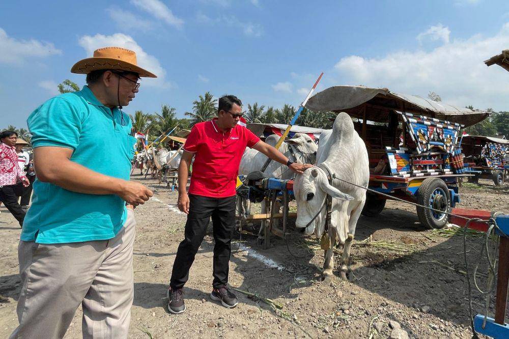 Festival Gerobak Sapi di Lapangan Watuadeg Wukirsari Cangkringan, Minggu (20/8/2023). (Dok. Istimewa)