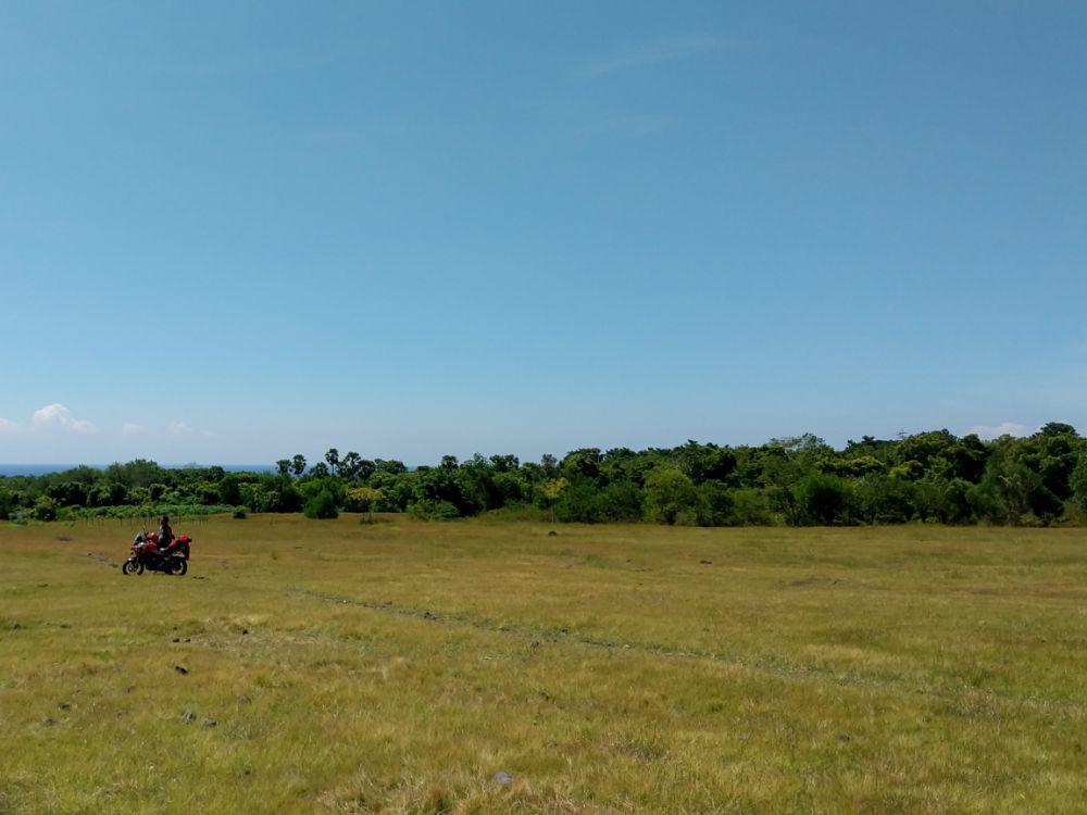 5 Fakta Savana Tianyar, Tempat Pelarian dari Ramainya Kota