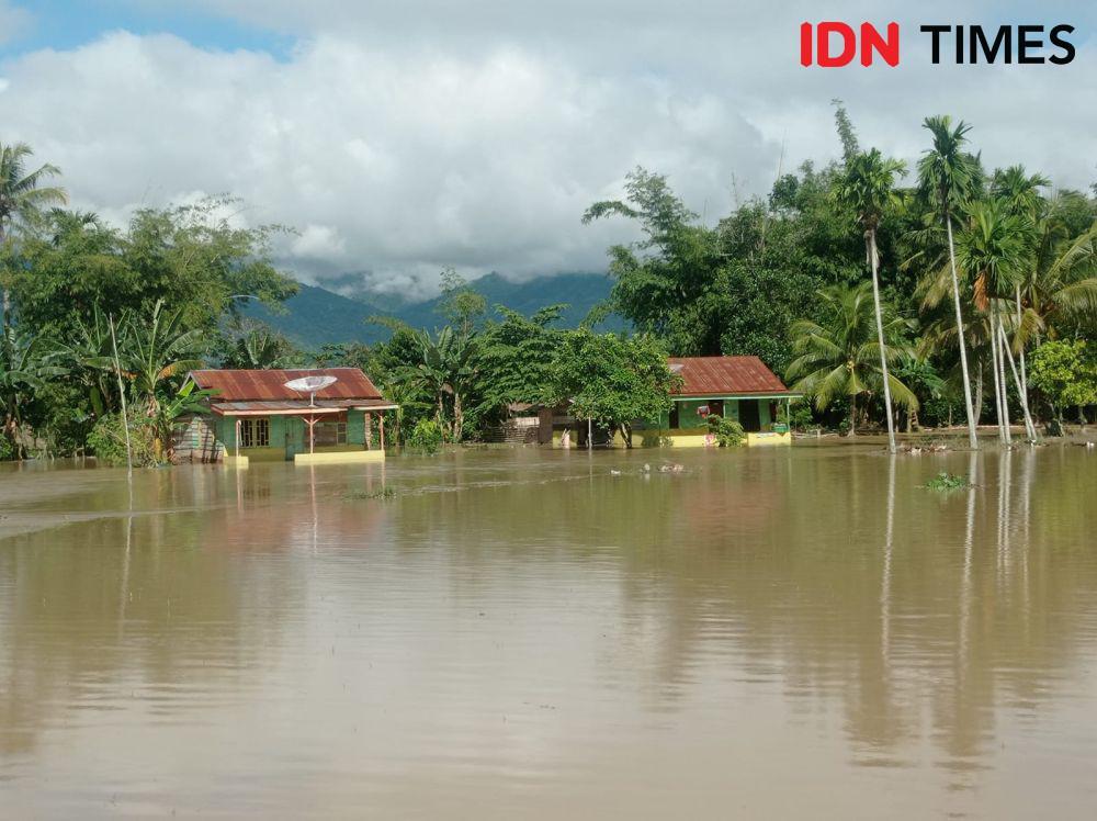 Kerusakan Tutupan Hutan Jadi Penyebab Banjir di Aceh Tenggara
