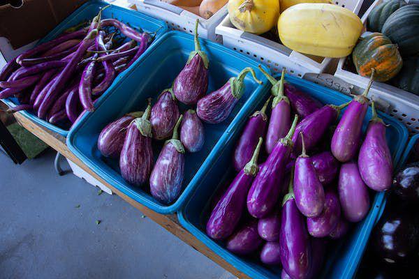 6 Tips Menyimpan Terung agar Tetap Awet dan Gak Cepat Layu