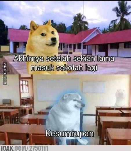 perbedaan Cheems dan Doge (1cak.com)