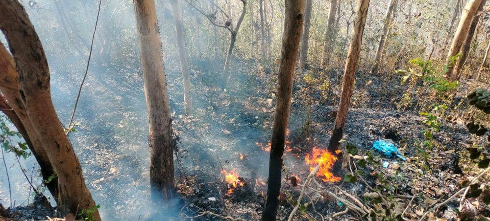 Kebakaran hutan di Nawungan Bantul.(Dok.Polres Bantul)