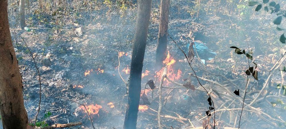 Hutan Seluas 7 Hektare di Nawungan Imogiri Bantul Terbakar
