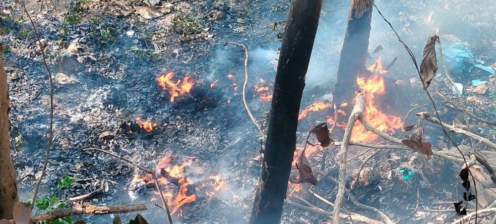 Kebakaran hutan di Nawungan Bantul.(Dok.Polres Bantul)