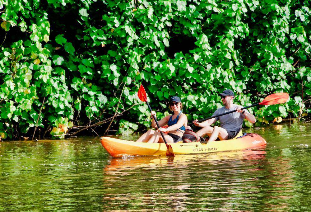 Mendayung kayak di kawasan sungai bakau, Lahaina, Maui (unsplash.com/ramarzan)