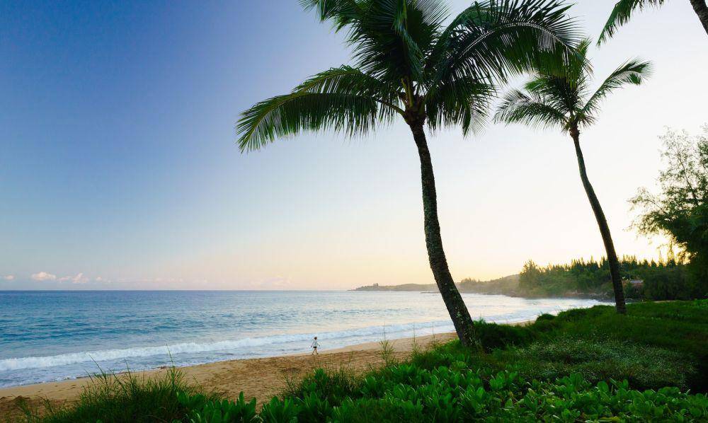 D.T. Fleming Park, Lahaina, Pulau Maui (unsplash.com/thommilkovic)
