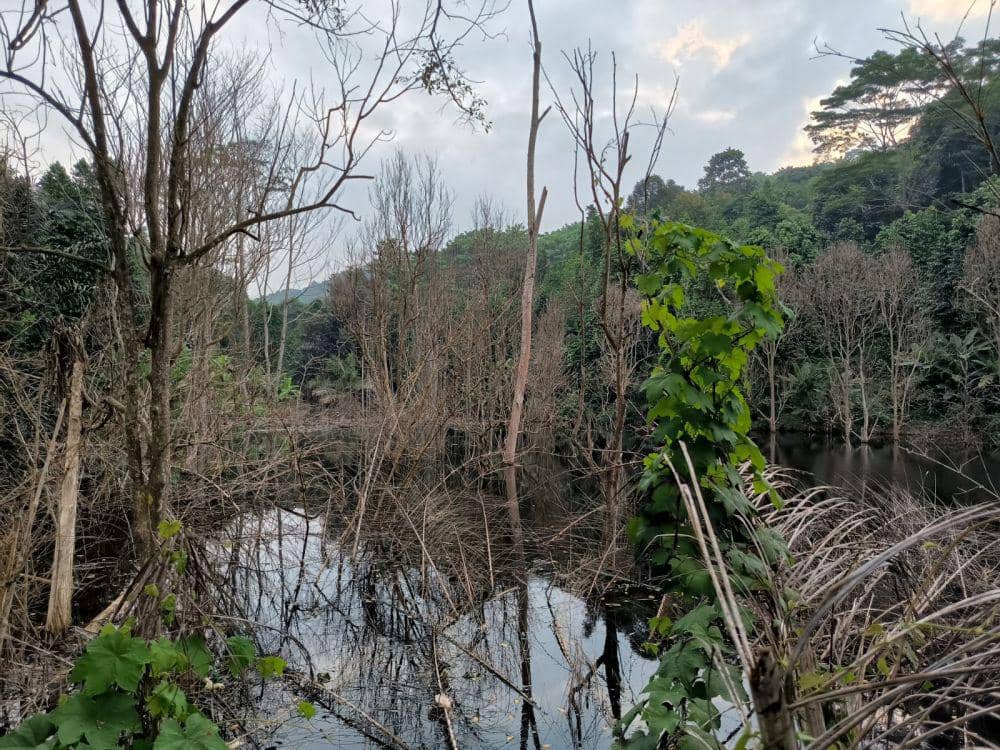 air lindi Tempat Pembuangan Akhir (TPA) Bakung Kota Bandar Lampung mencemari pemukiman warga Kelurahan Keteguhan Kecamatan Telukbetung Timur Kota Bandar Lampung. (Dok. WALHI Lampung).