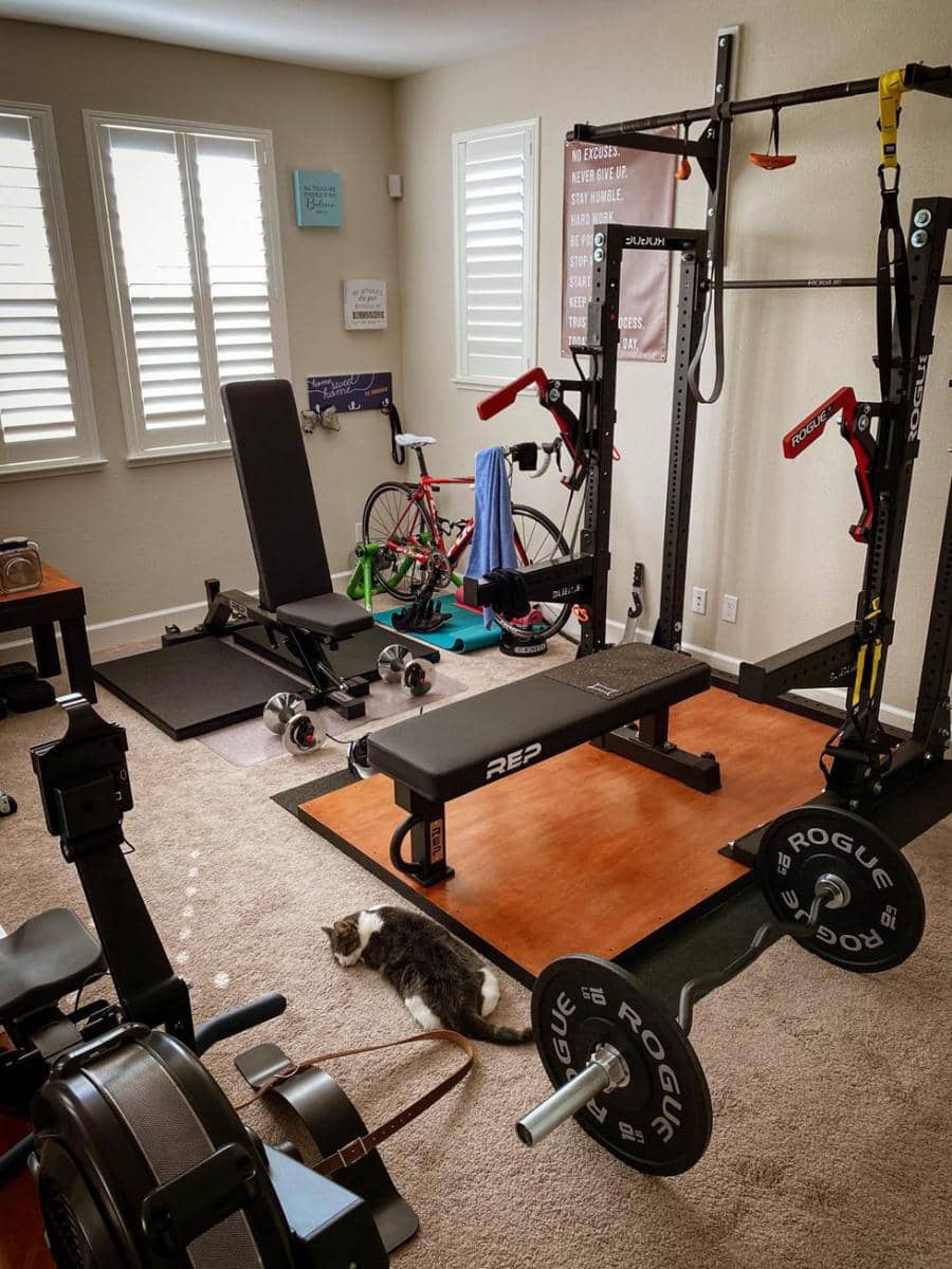 Potret kucing bingung (reddit.com/user/BurbsAndMia)