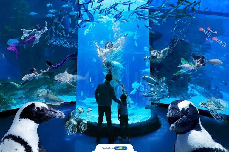 Jakarta Safari & Aquarium (dok. Tiket.com)