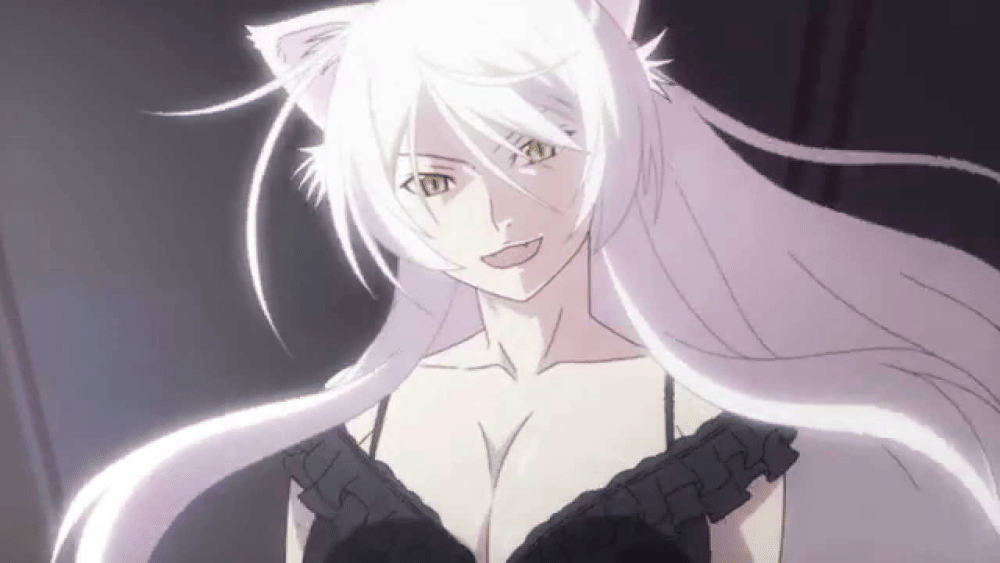 dok. Shaft/ Nekomonogatari Black