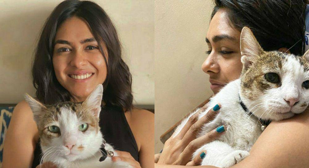 Mrunal Thakur dan kucingnya (instagram.com/billoboythakur)
