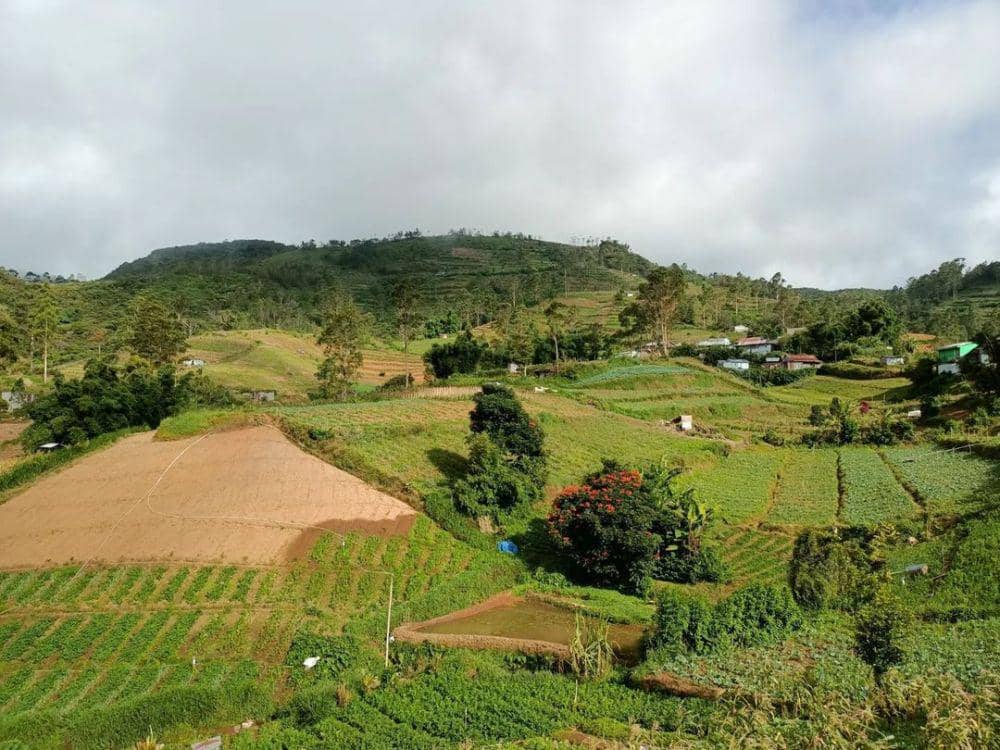 Pemandangan Desa Kanreapia, daerah penghasil sayur-sayuran di Kecamatan Tombolopao, Kabupaten Gowa, Sulawesi Selatan. (Dok. Jamaluddin Daeng Abu untuk IDN Times)