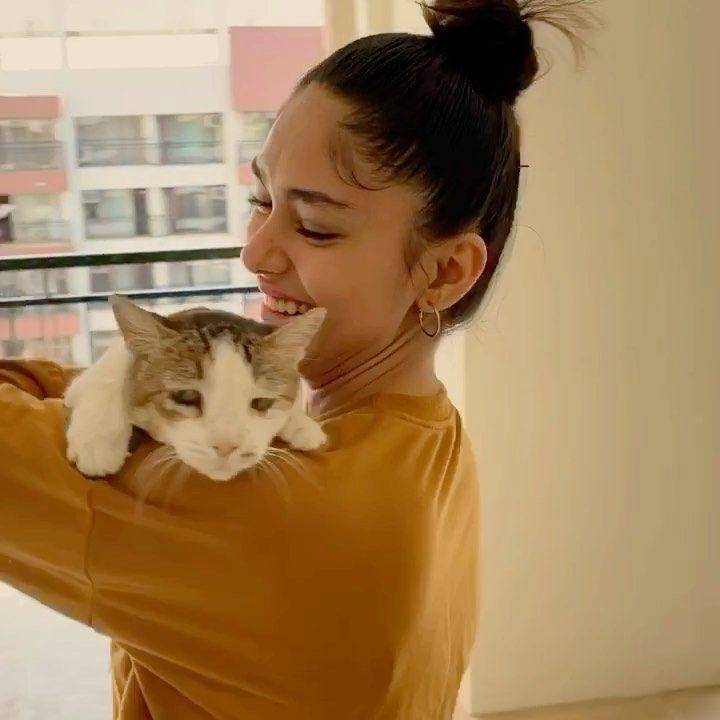 Mrunal Thakur dan anjingnya (instagram.com/billoboythakur)
