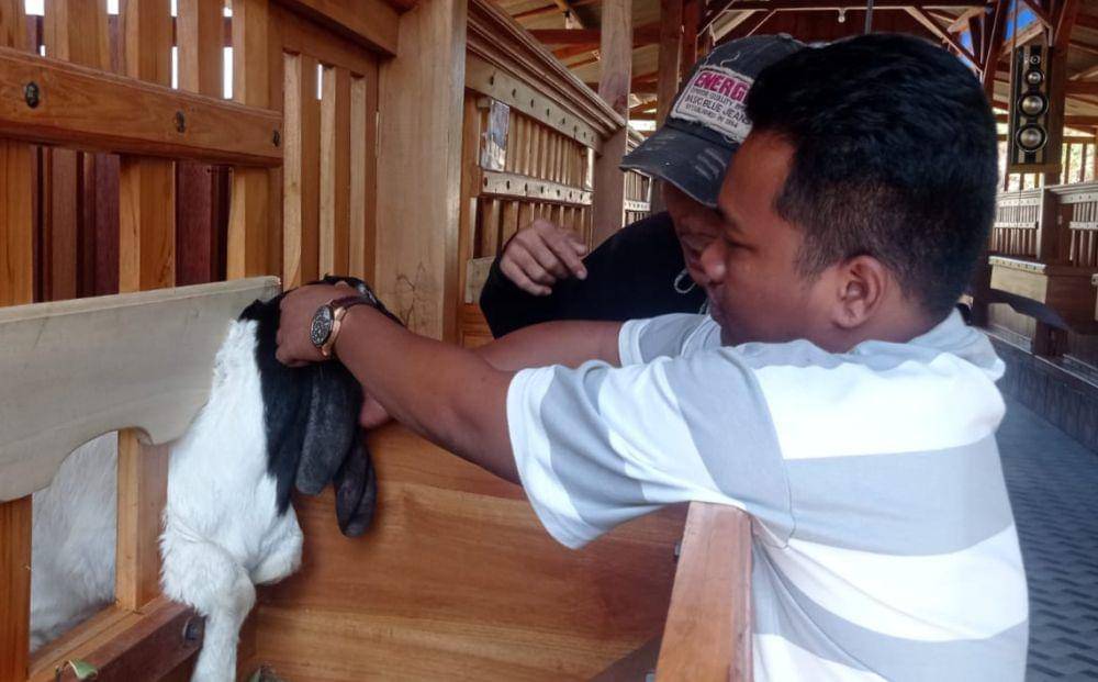 Kandang kambing mewah viral di media sosial. Dok Istimewa