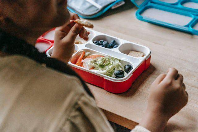 ilustrasi kotak bekal (pexels.com/Katerina Holmes)