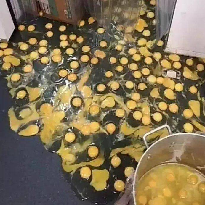 momen apes makanan tumpah (izismile.com)