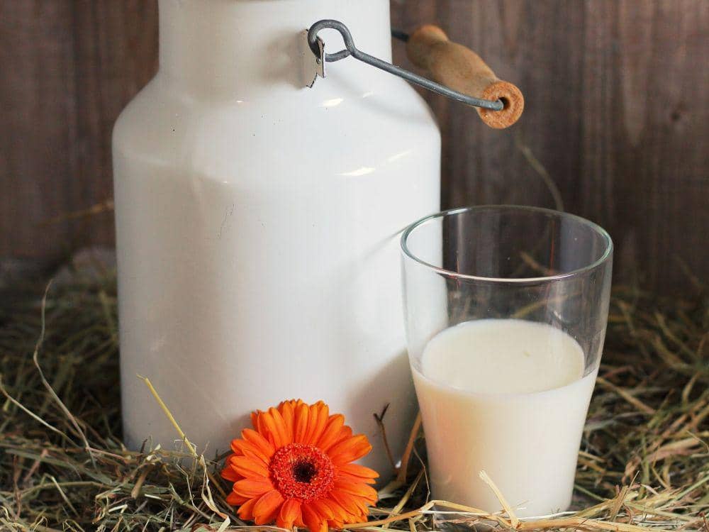 Ilustrasi susu mentah sebagai gambaran produk susu segar yang belum melalui proses pasteurisasi atau pengolahan.
