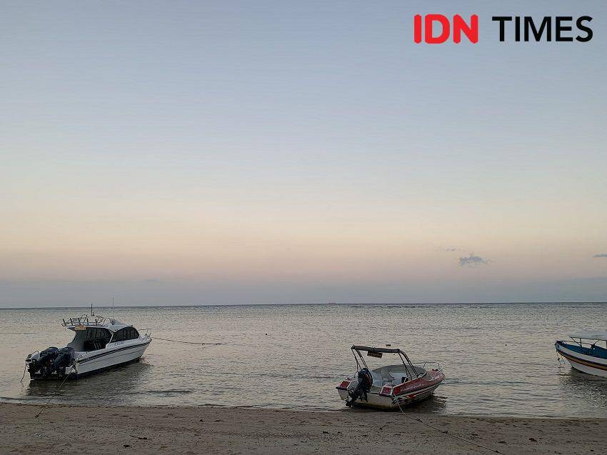 Potret Pantai Bama di Taman Nasional Baluran, Situbondo (IDN Times/Fasrinisyah Suryaningtyas)