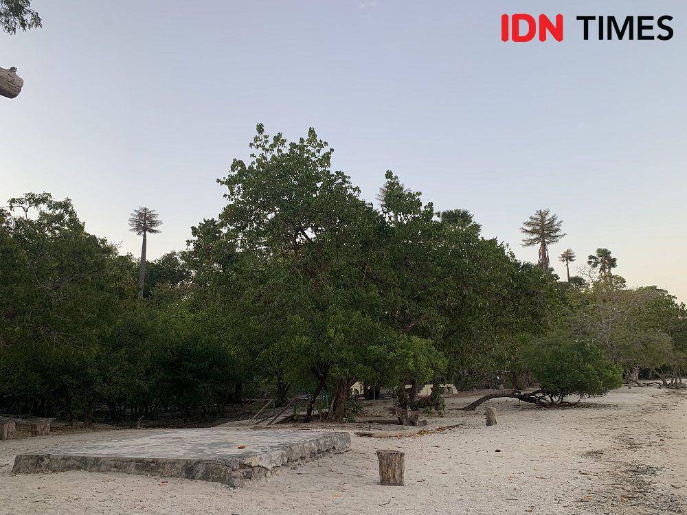 Potret Pantai Bama di Taman Nasional Baluran, Situbondo (IDN Times/Fasrinisyah Suryaningtyas)