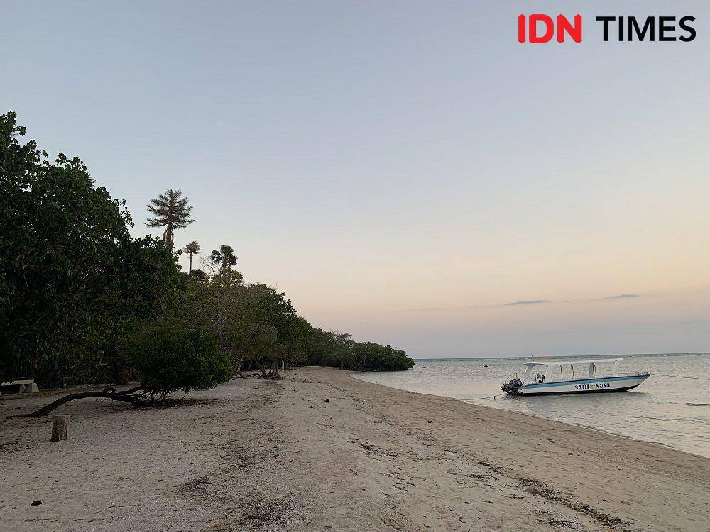 Potret Pantai Bama di Taman Nasional Baluran, Situbondo (IDN Times/Fasrinisyah Suryaningtyas)