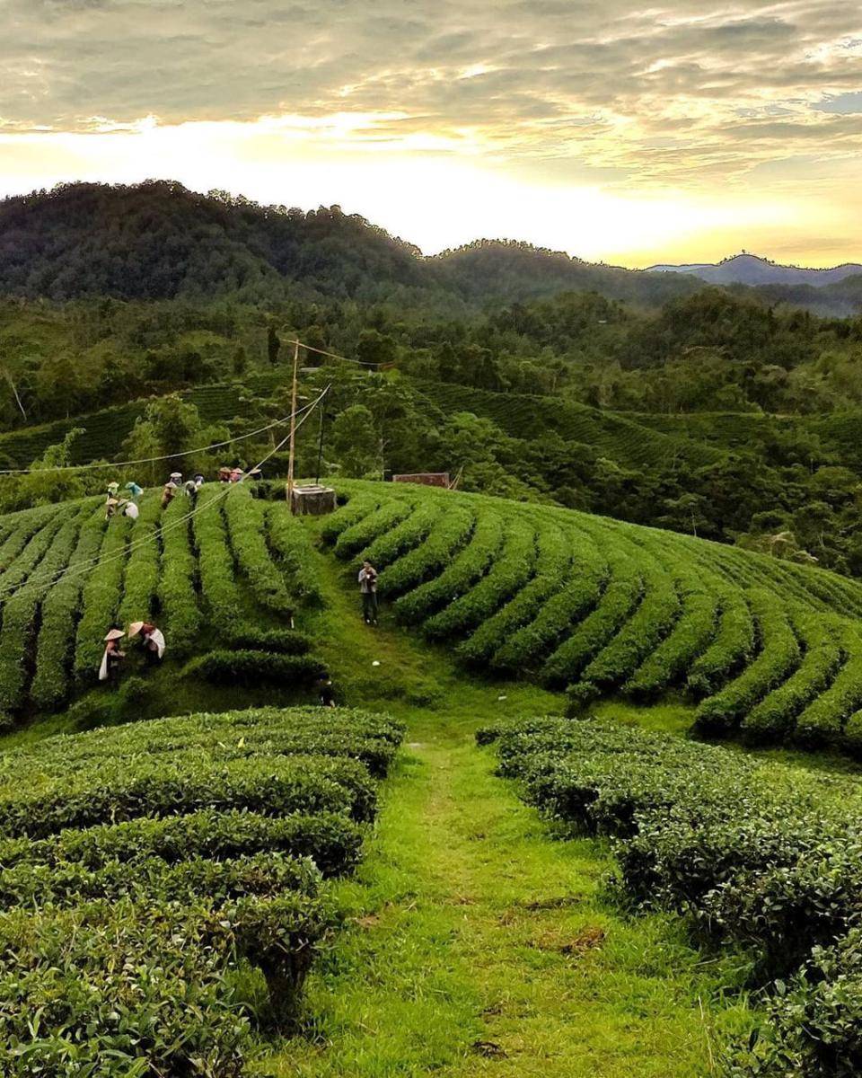 Eksplor Seru di Banten: 8 Destinasi Wisata Unik Selain Pantai (instagram.com/bantennature)