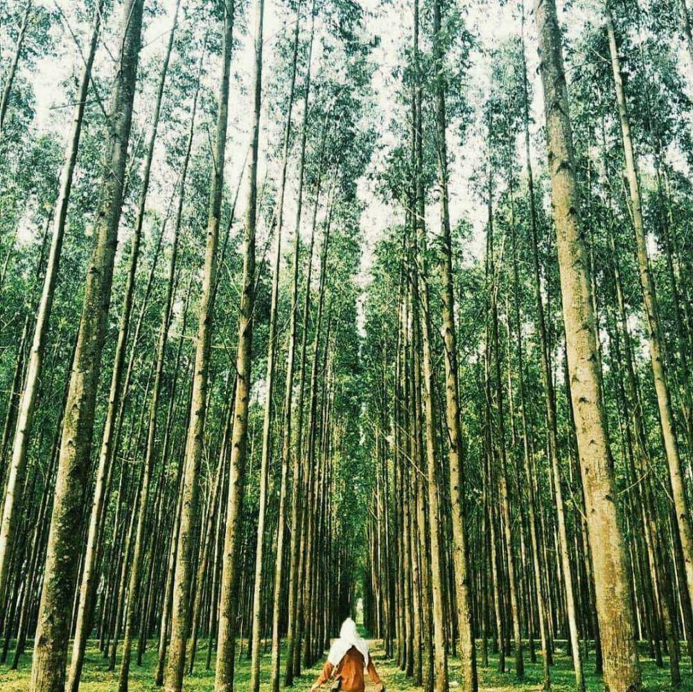 Eksplor Seru di Banten: 8 Destinasi Wisata Unik Selain Pantai (instagram.com/wisatabanten.co)