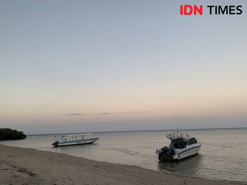 Potret Pantai Bama di Taman Nasional Baluran, Situbondo (IDN Times/Fasrinisyah Suryaningtyas)