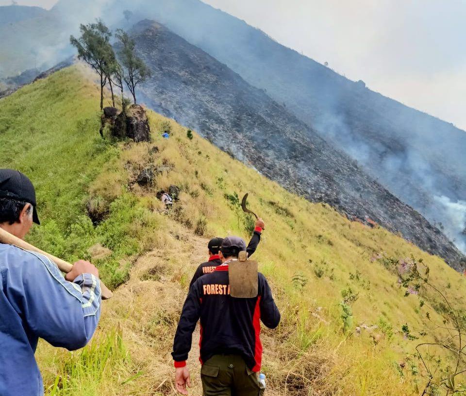 Karhutla di Jatim, Kenapa Hanya Arjuno yang Dapat Water Boombing?