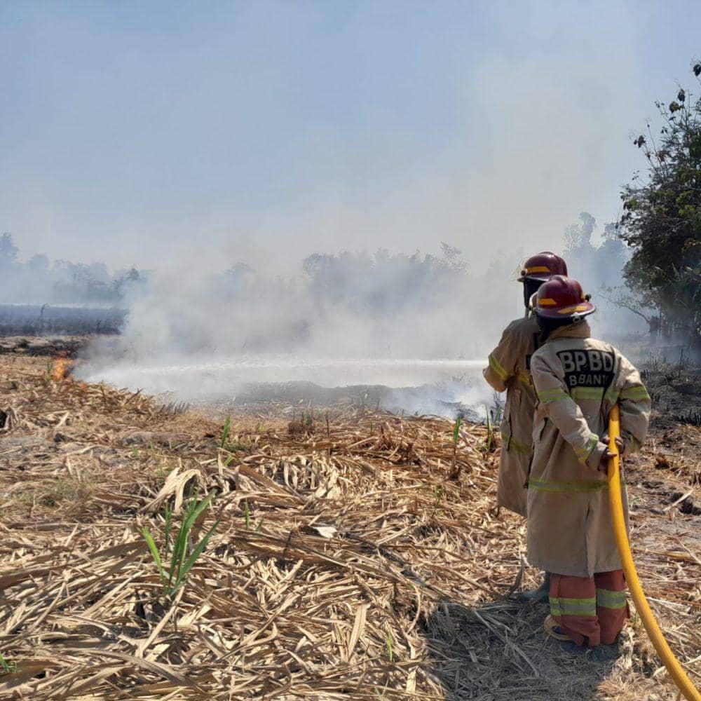 Warga Bakar Sampah, Lahan Bekas Tanaman Tebu di Bantul Terbakar