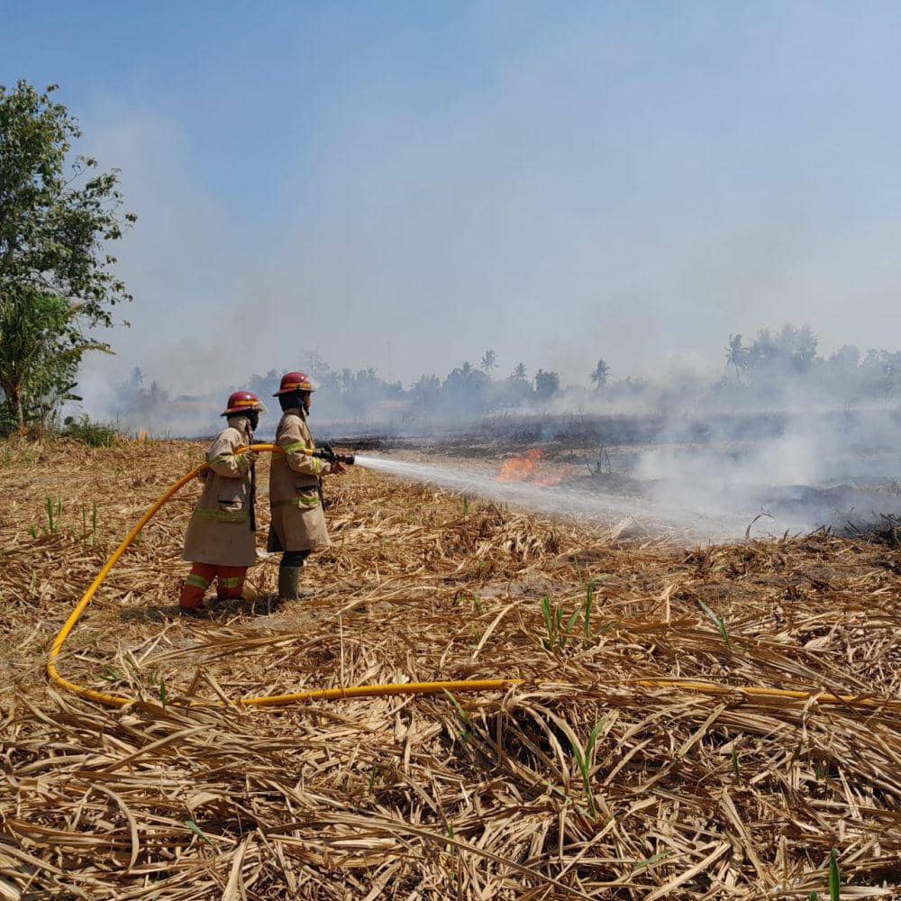 Lahan bekas tanaman tebu di Canden Bantul terbakar.(Dok.BPBD Bantul)