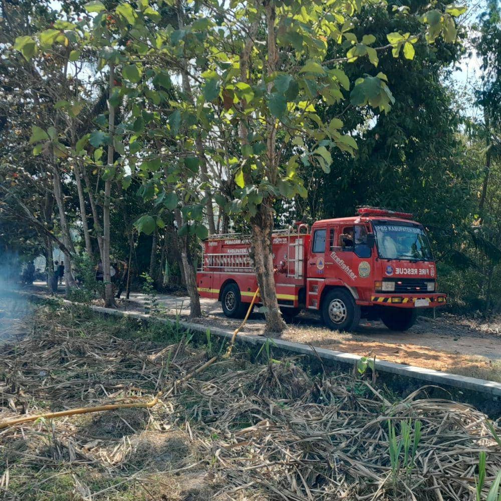 Lahan bekas tanaman tebu di Canden Bantul terbakar.(Dok.BPBD Bantul)