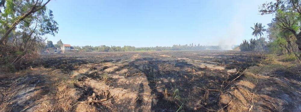 Lahan bekas tanaman tebu di Canden Bantul terbakar.(Dok.BPBD Bantul)