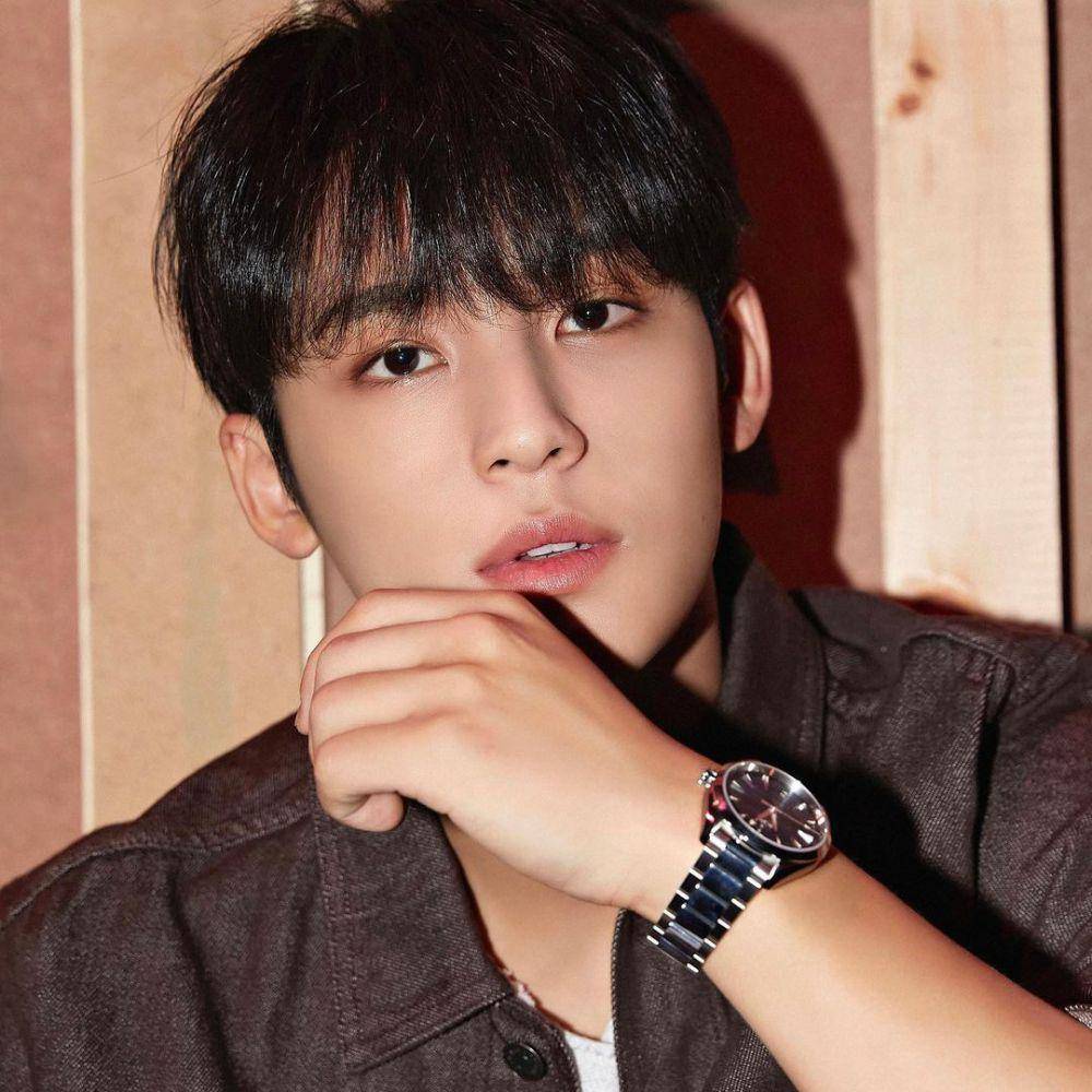 Mingyu Seventeen (instagram.com/min9yu_k)